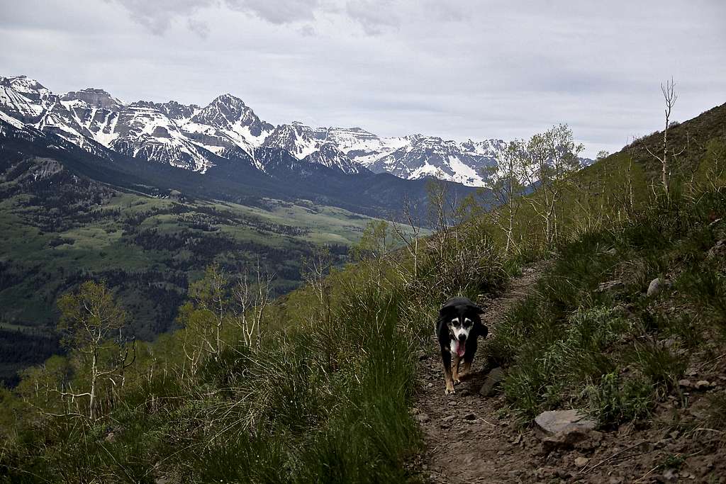 Baldy trail