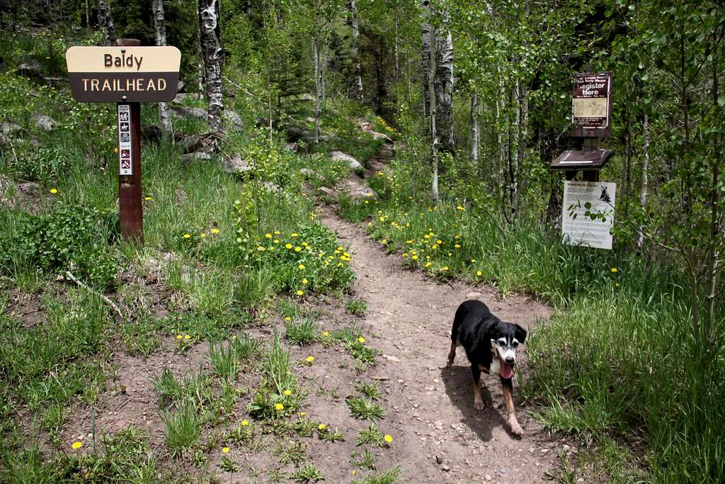 Baldy Trailhead