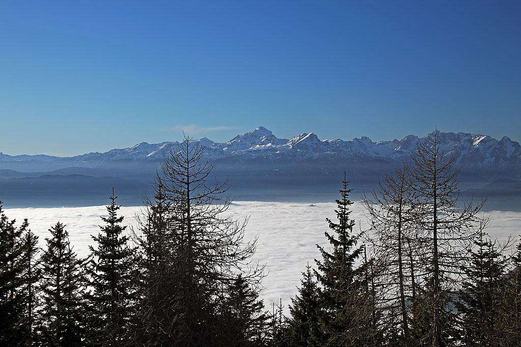 Julian Alps from Dobrca