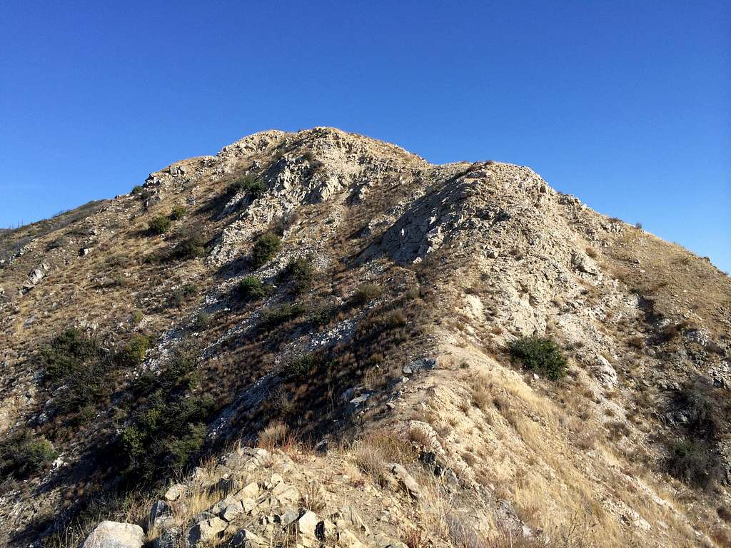 Follow this ridge up towards Mt. Lukens