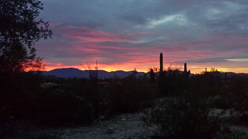 Sonoran desert sunrise