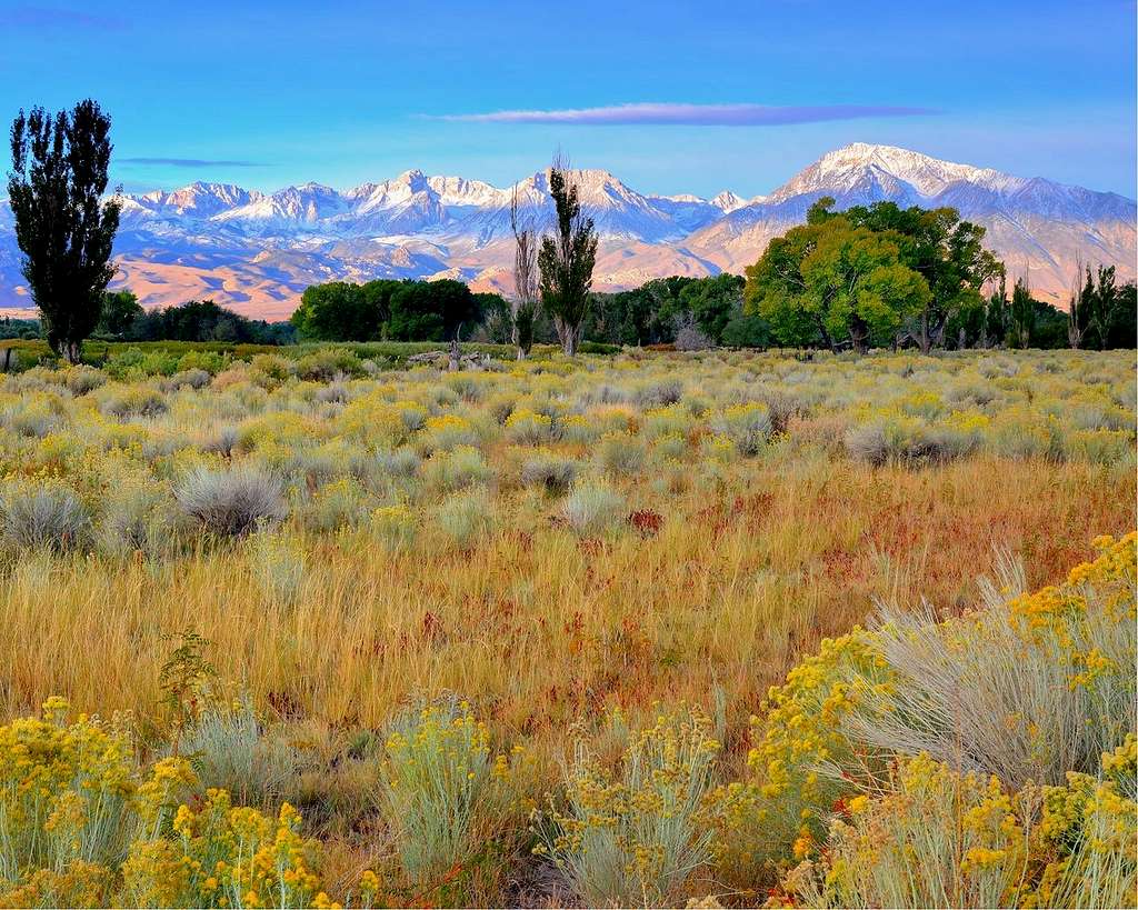 Eastern Sierra