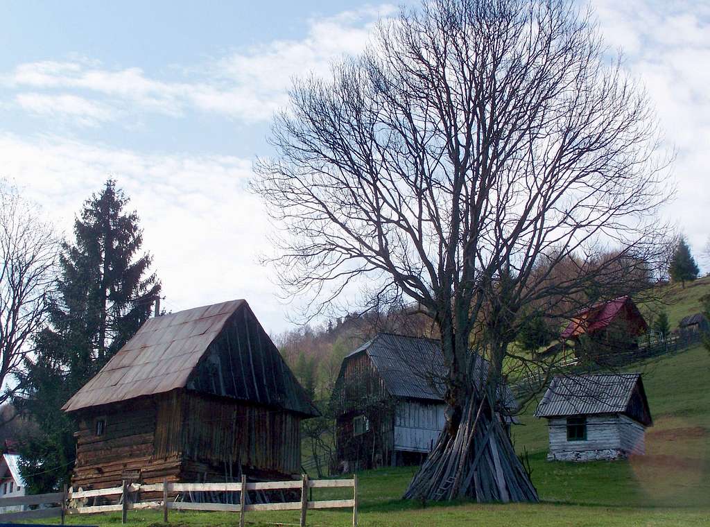 Arieșeni - a typical settlement of the Moți