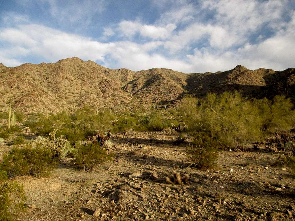 Margies Peak AZ