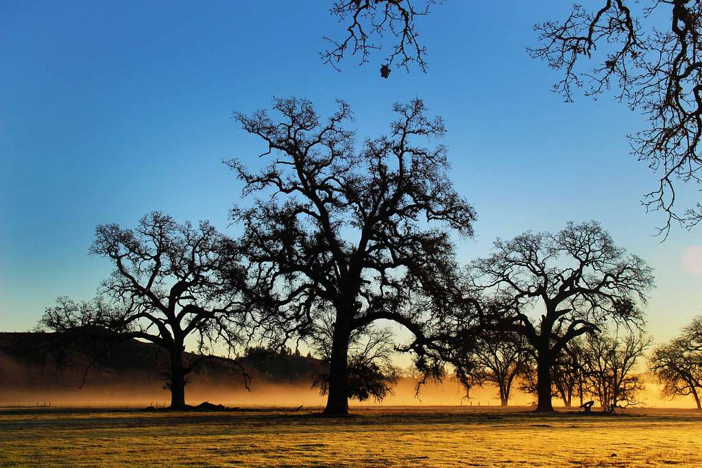 A rich sunrise fills Collayomi Valley