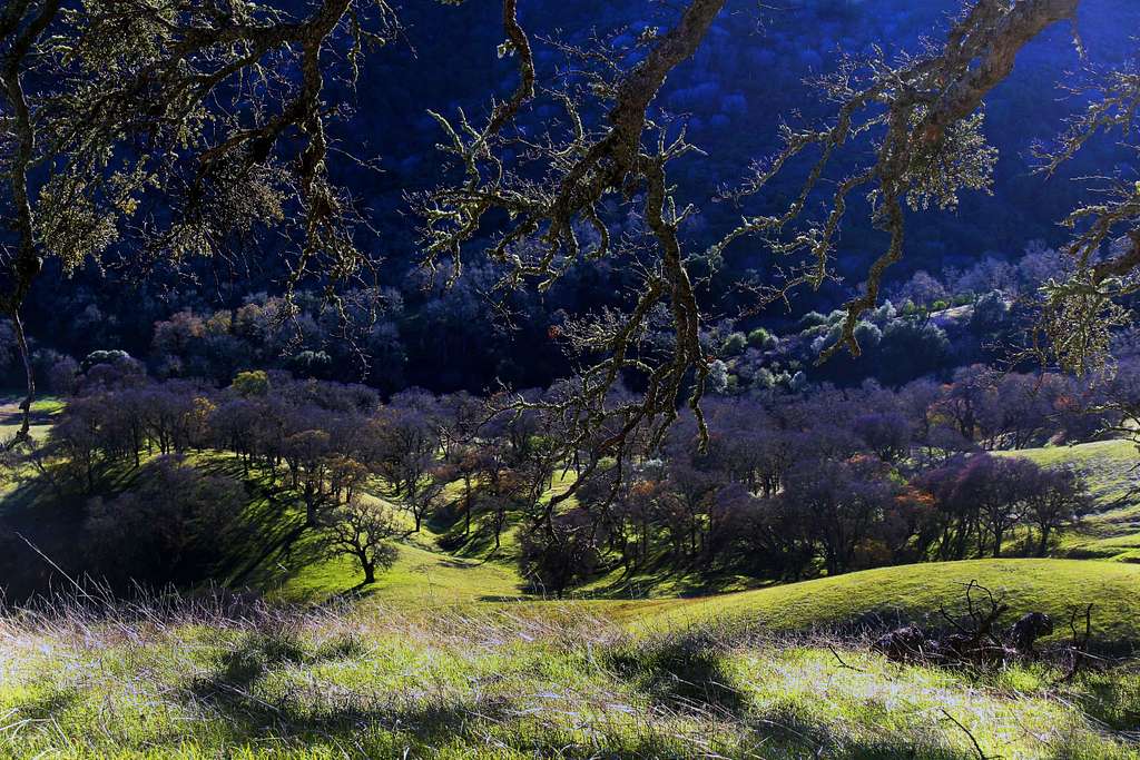 Green valley view