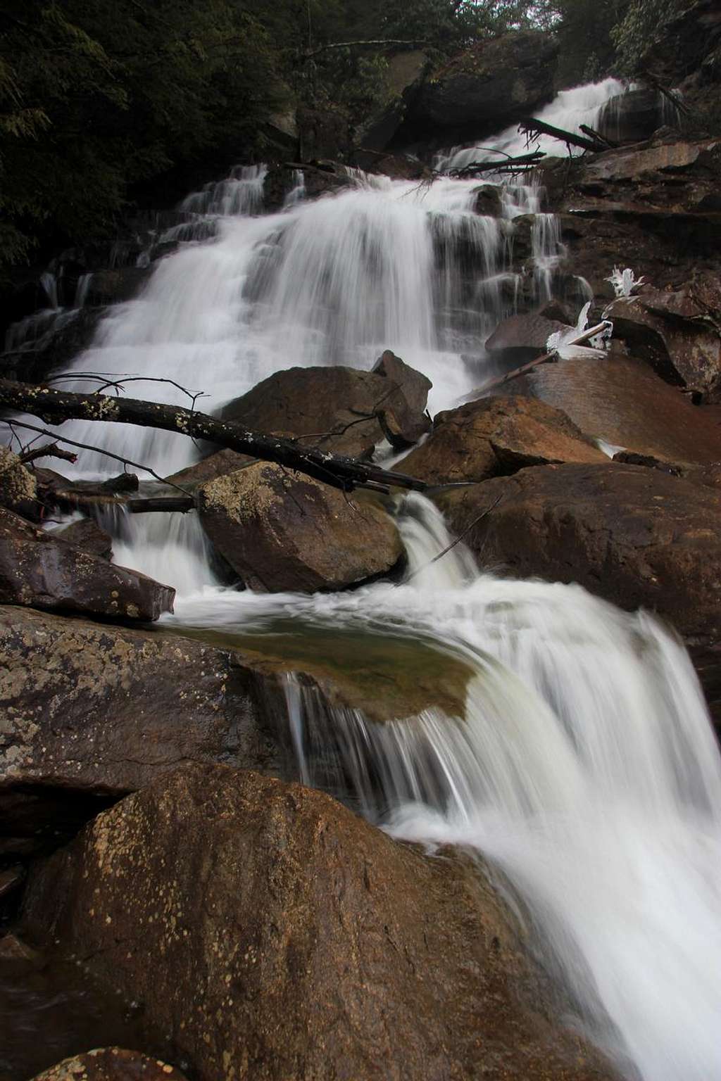 Lower Waterfall on Pendleton Creek