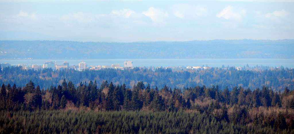 Downtown Everett from Three Lakes Hill