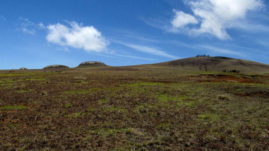 We aimed for the saddle between Maunga Vai - Heva and Maunga Pukatikei