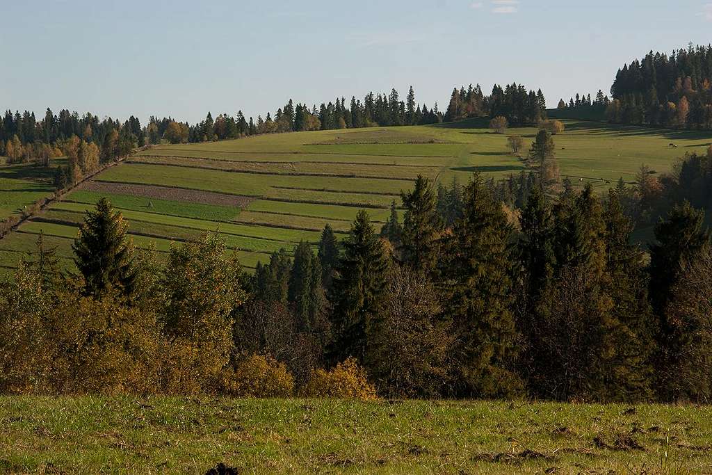 Lapszanka fields