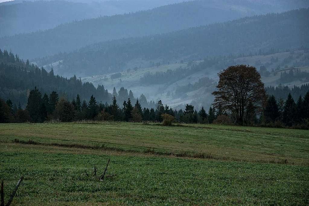 Osturna valley at dawn