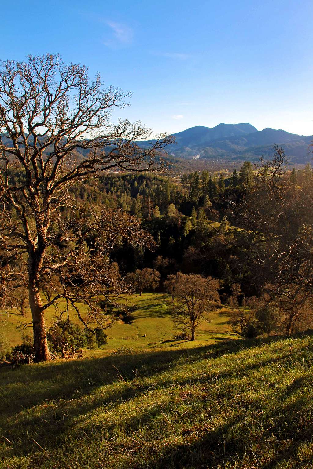 Collayomi Valley and Mt. St Helena