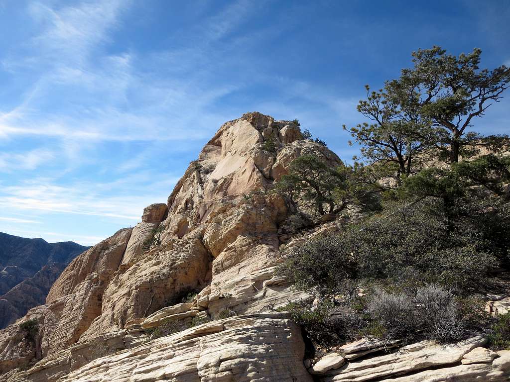 Summit of Bridge Vista