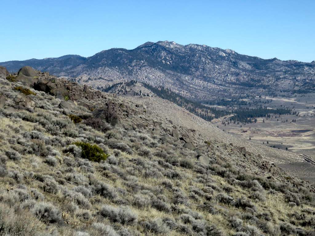View north to Adams Peak 8,197'