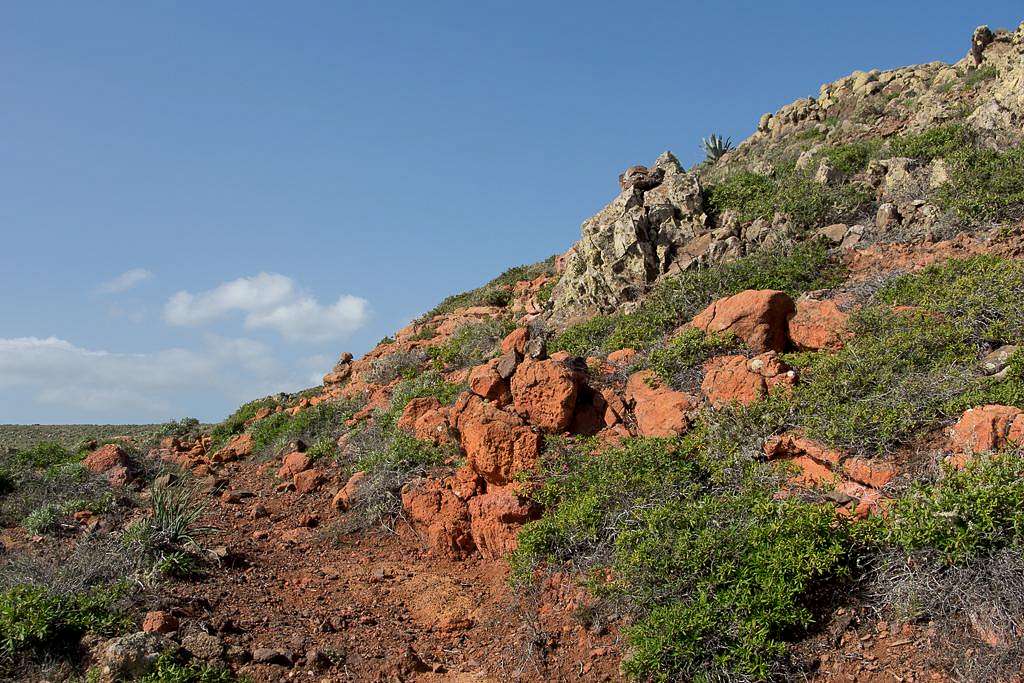 Colourful Rocks on Lomo de Ojoma