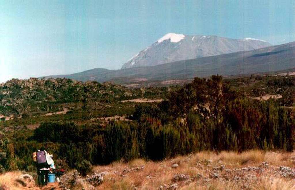 Kilimanjaro
 from Horombo
...
