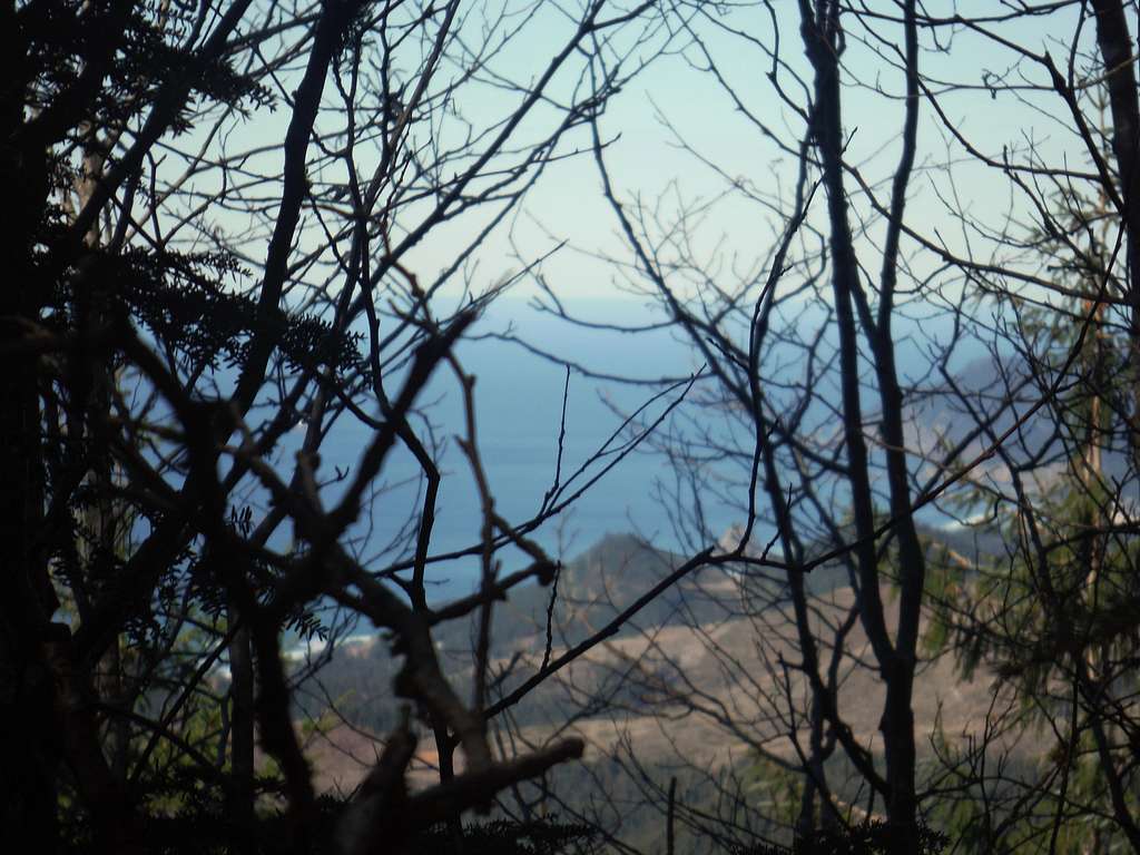 Ocean view through the trees