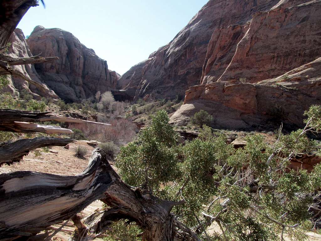 morning glory side canyon