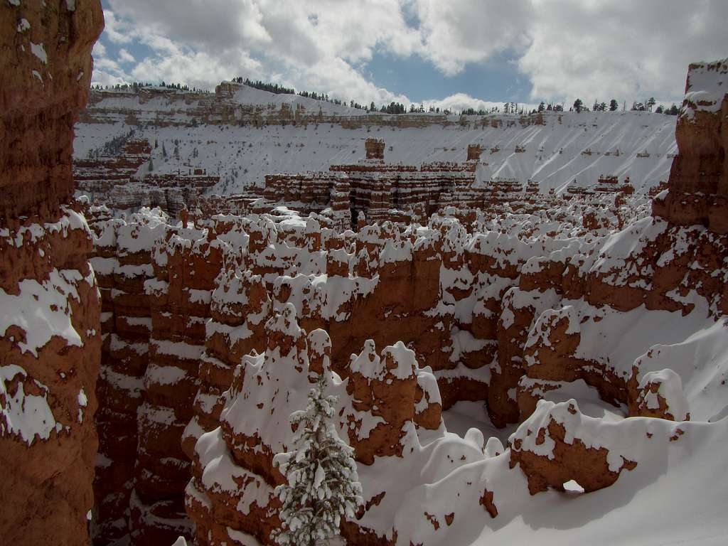 Bryce Canyon in winter -5