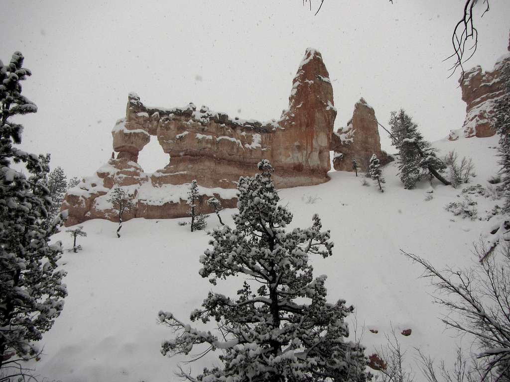 Bryce Canyon in winter -6