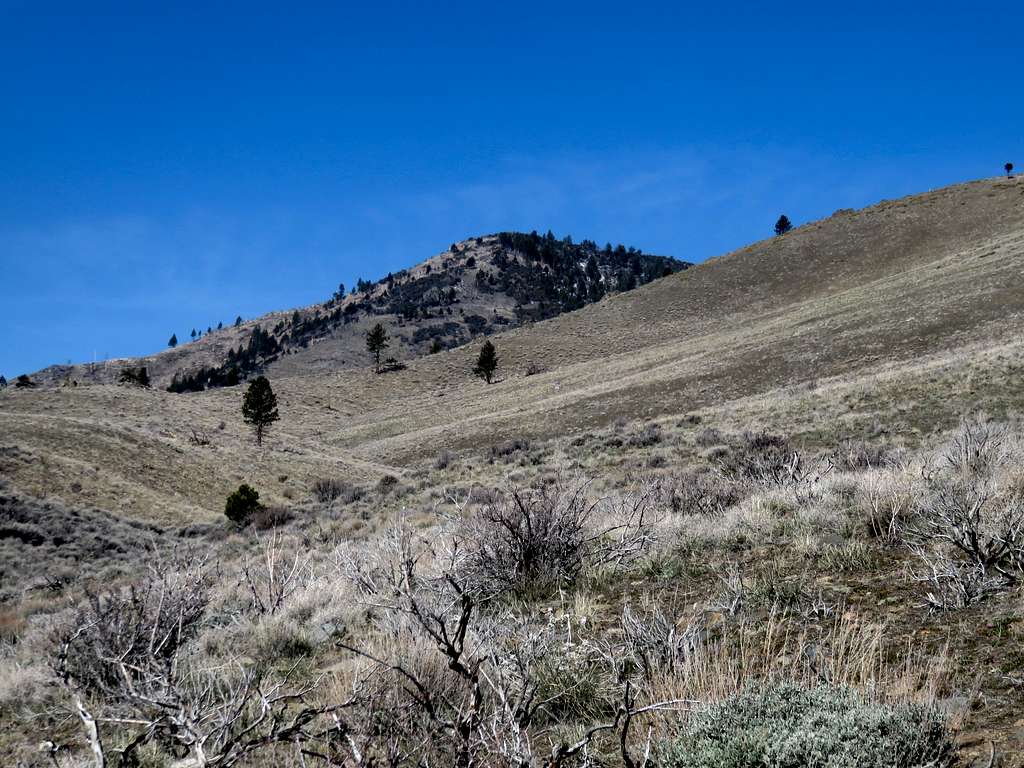 View of Balls Canyon Peak from the valley