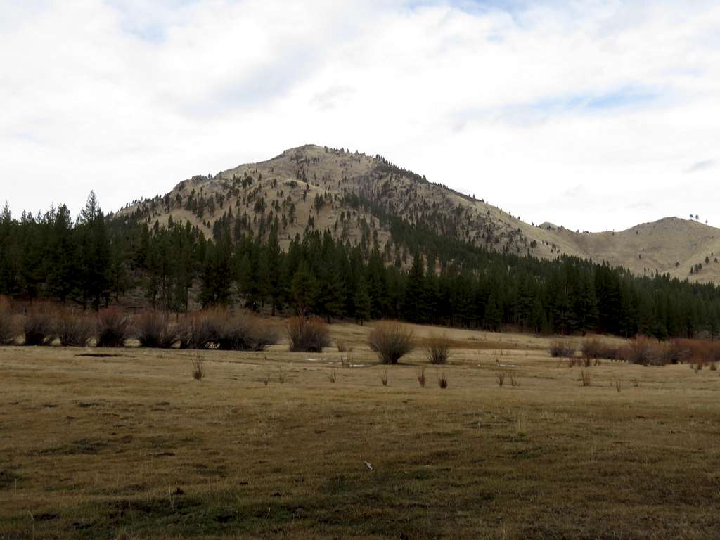 Balls Canyon Peak from the meadow to the south