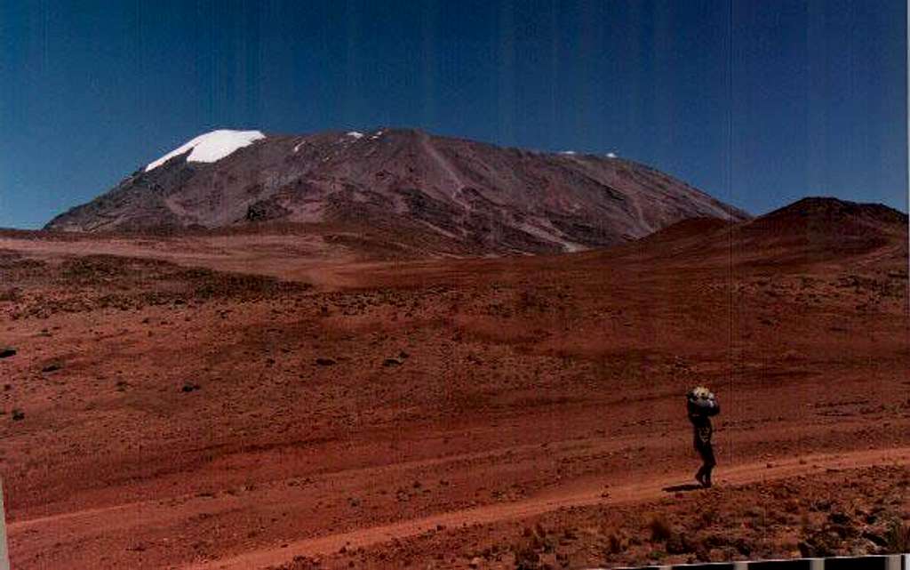 Kilimanjaro
 Desert...