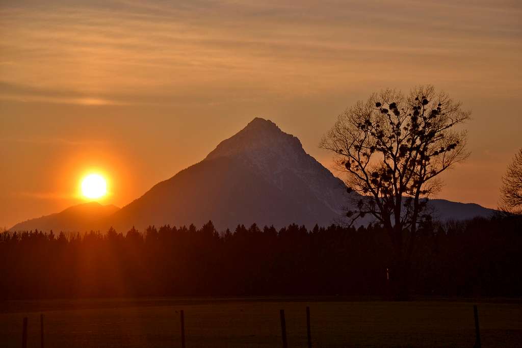 The sun, the pyramid and the tree...