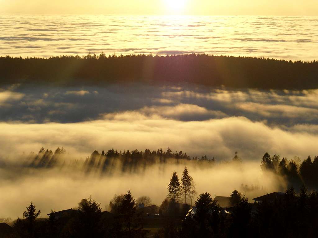 Fog, sun rays and shadows