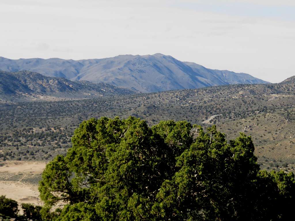 View north to Freds Mountain 7,192' from Peak 5503 in Lemmon Valley