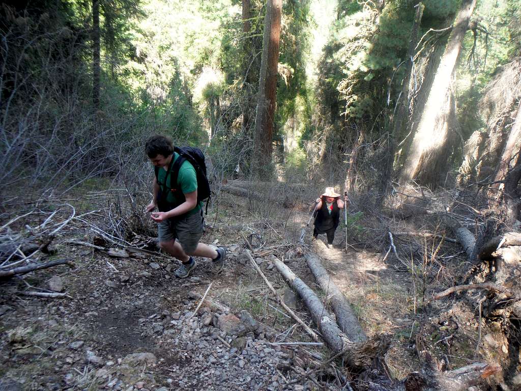 Steep section of the trail