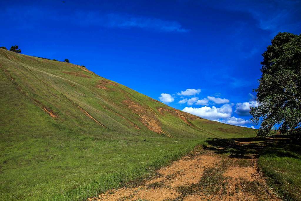 Open hillside Hogback Ridge