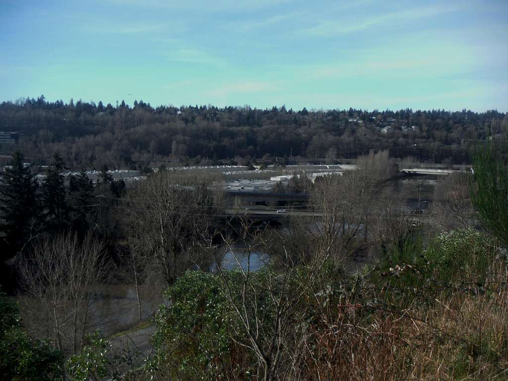 View of the Duwamish River