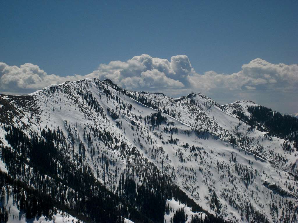 Baldy from Middle Cottonwood
