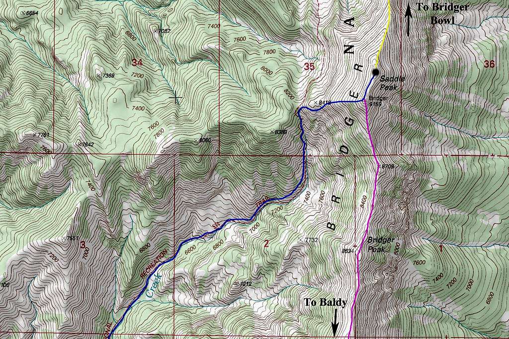 Saddle Peak Map