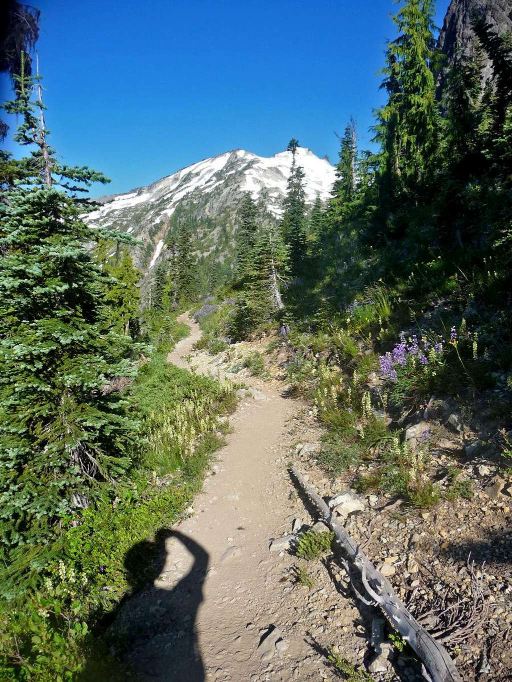 The Trail to Mount Daniel