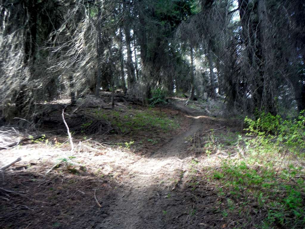 The well laid out trail
