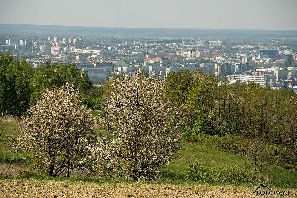 Rzeszow from Matysowka hills