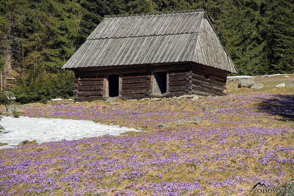 Old shepherd hut