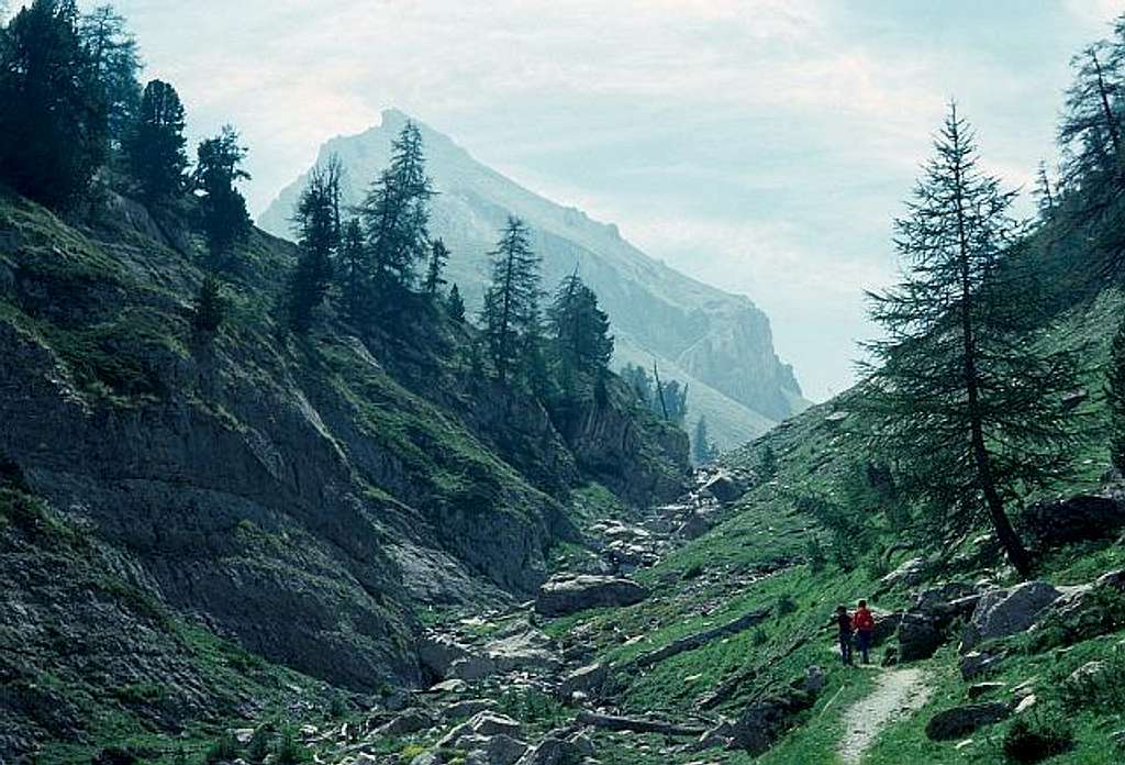 Crête de la Saume.
 Photo...