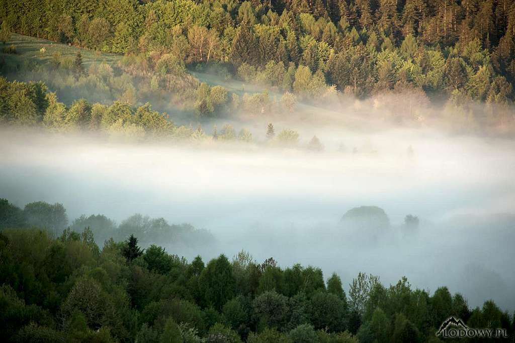 Morning mist over Oslawka valley