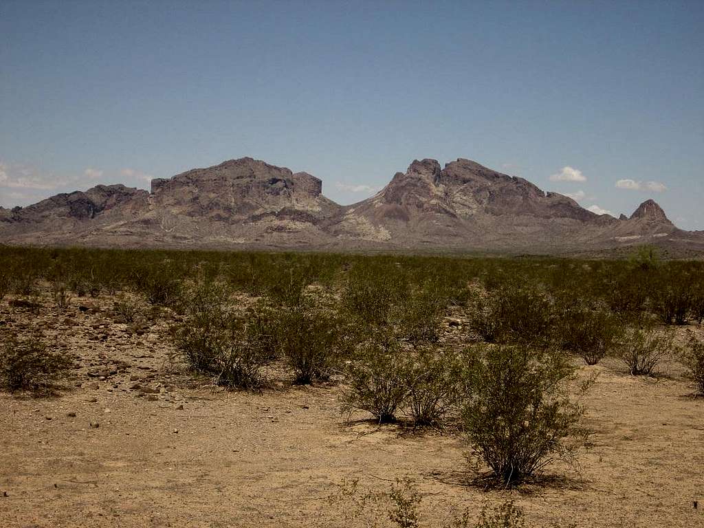 Saddle Mountain (Tonopah AZ)