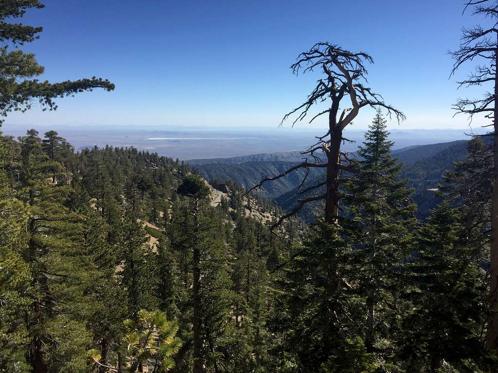 San Gabriel Mountains and Mojave Desert