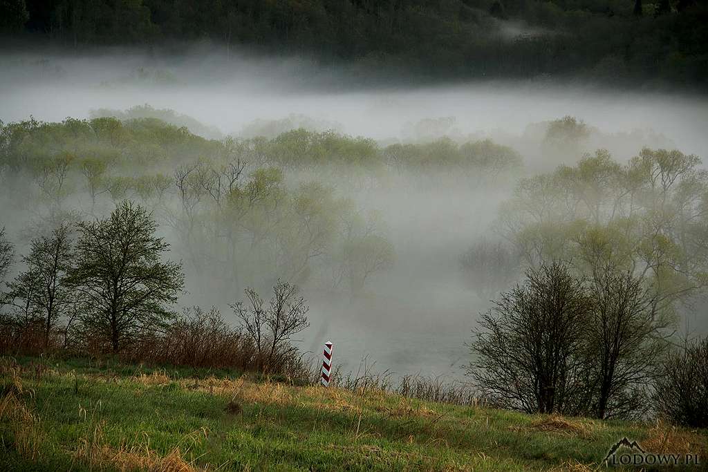 Morning mist on POL/UKR border