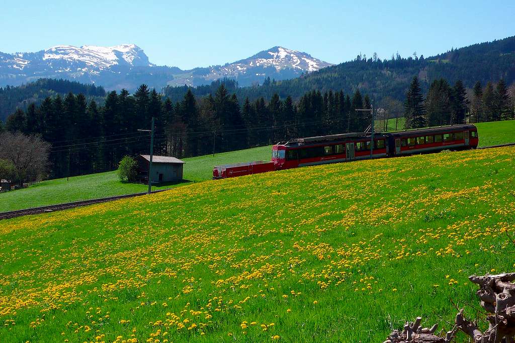 Hoher Kasten & Swiss Cogwheel Train