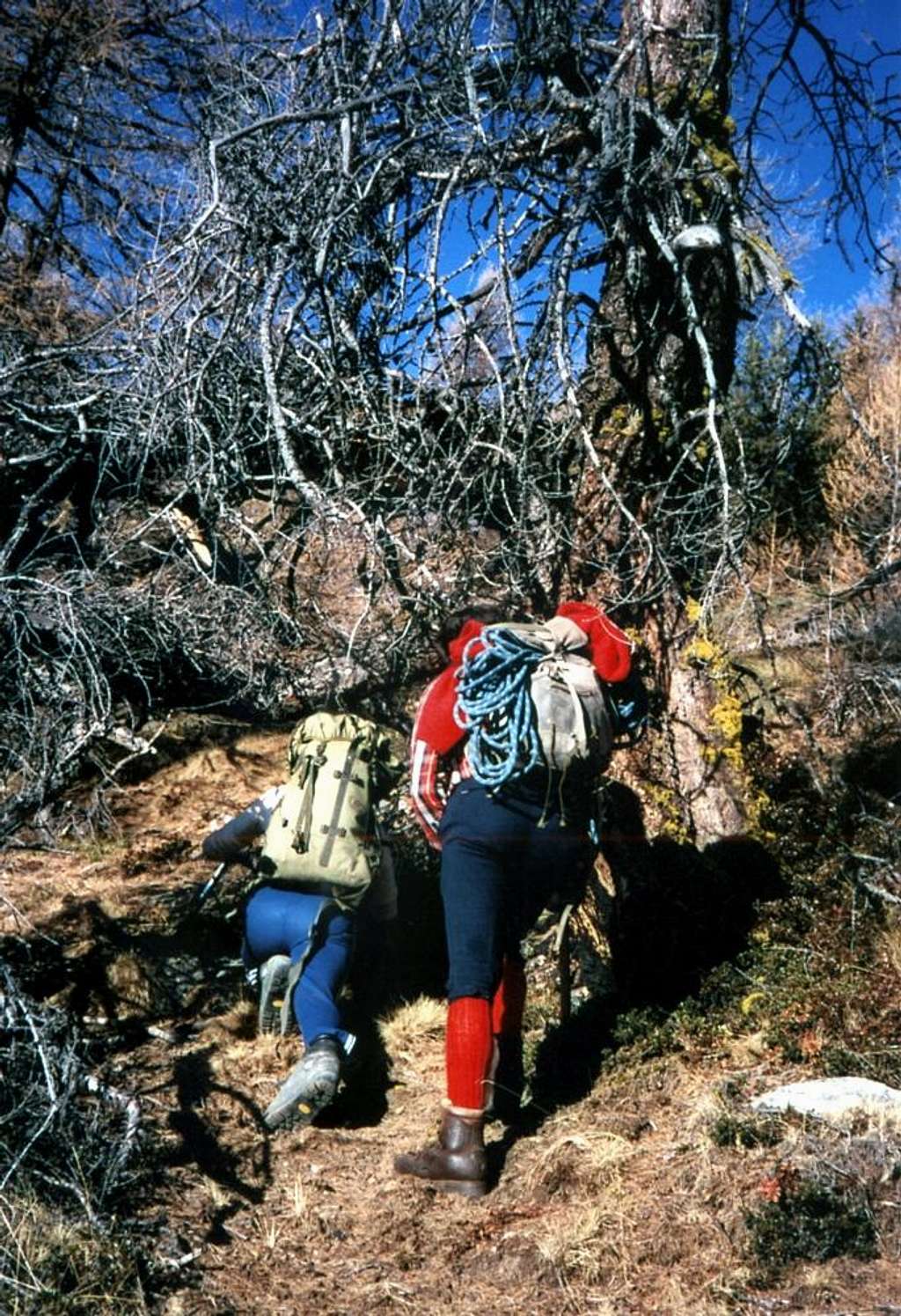 Eastern Towards the Senevé or Cénevé Basin 1985