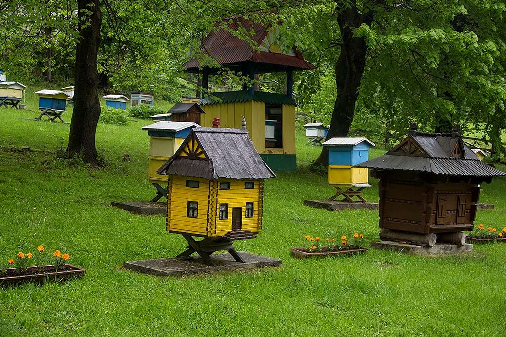 Kamianna apiary