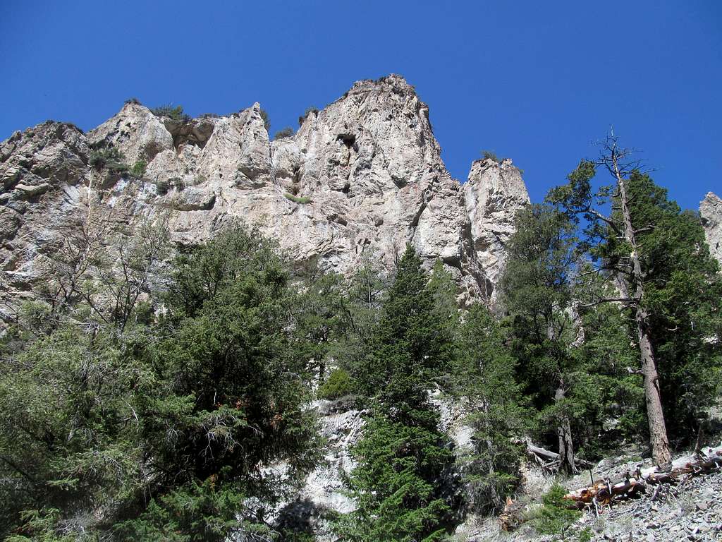 pinnacles in Middle Canyon