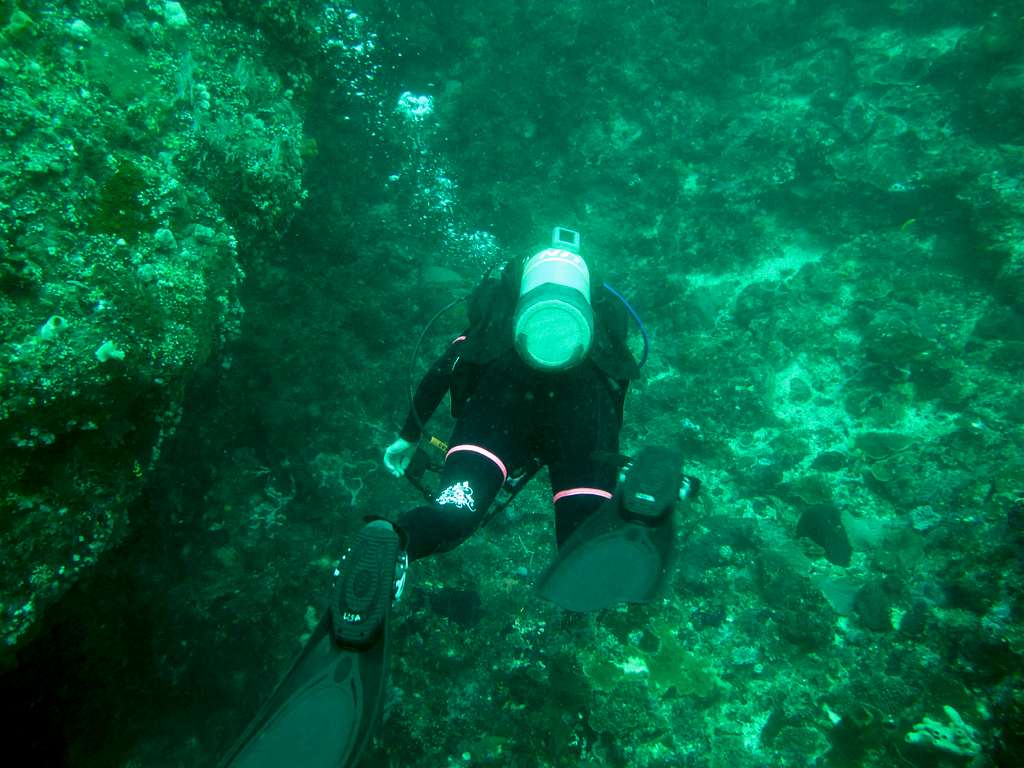 Diving in Bali 