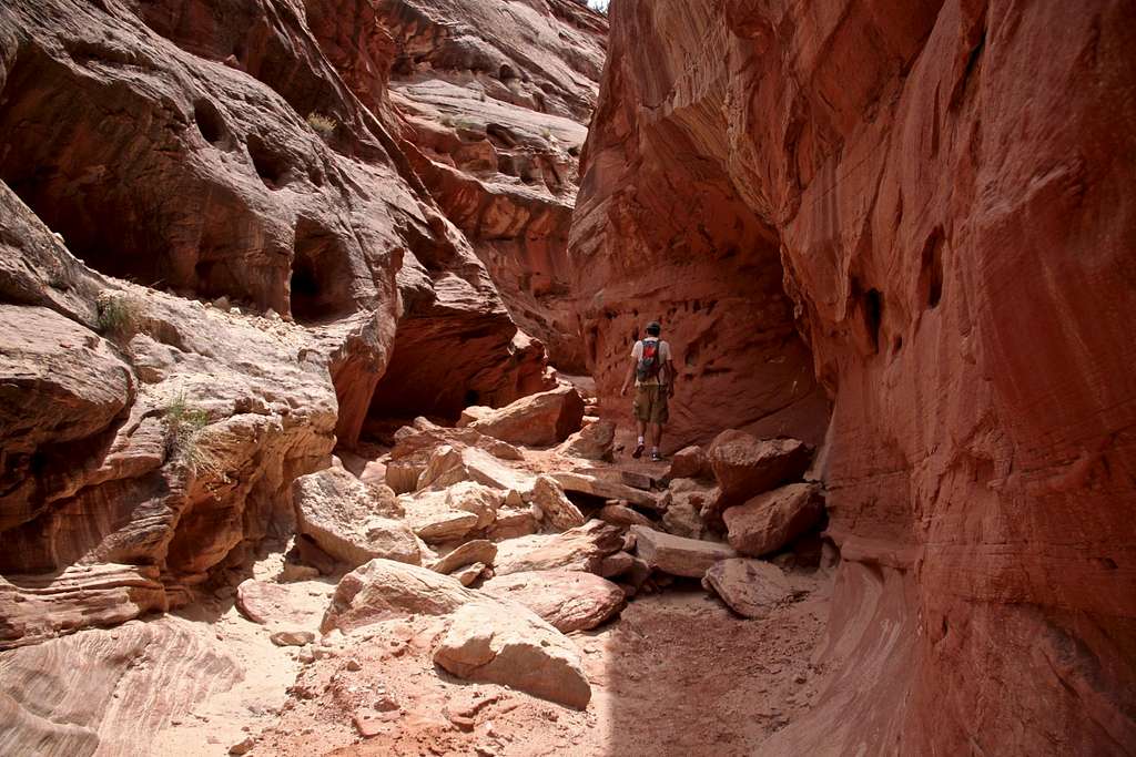 West Fork, Bluejohn Canyon